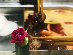 -海底捞火锅(九霄梦天地店)