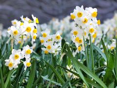 -船政文化景区-罗星塔公园