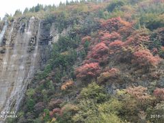 -黄花溪