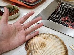 -九鲜坊烧烤城