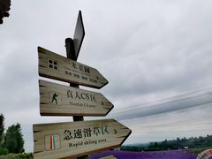 -紫颐香薰山谷景区