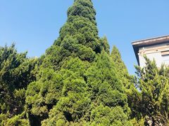 -华中科技大学百景园(三楼酒店)