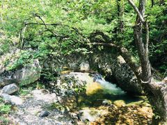 景点-牛背梁国家森林公园
