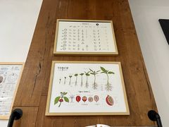 -Torch Coffee 炬点咖啡