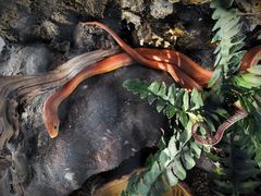 -长沙友阿奥特莱斯