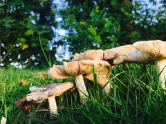 -福建鲤鱼洲酒店