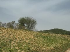 -秦始皇帝陵博物院-丽山园