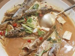 -红椒香·闽北光泽菜·宴请聚会(奥体店)