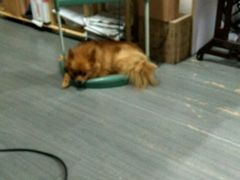 android_upload_pic-A+摄影