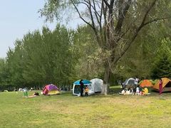 -长白岛森林公园