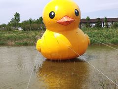 -南大港湿地风景区