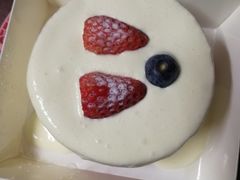 -糕小爱·动物奶油生日蛋糕定制(合肥总店)