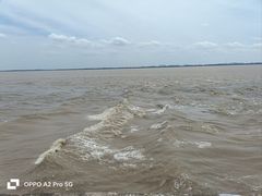 -观潮胜地公园