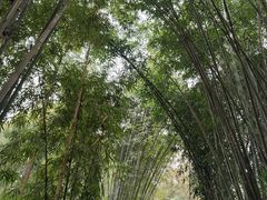 -成都杜甫草堂博物馆