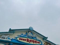 -海合安成都极地海洋公园