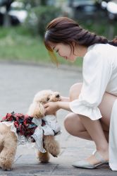 -MECCI婚礼摄影跟拍(红东方广场店)