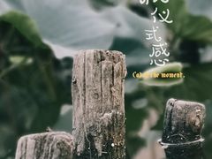 -前关湿地公园