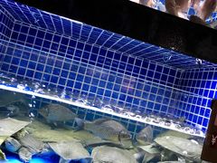 水产区-徐记海鲜(大明宫|北二环店)