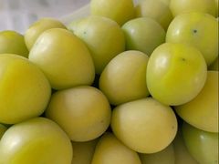 -马陆小张葡萄园农家乐