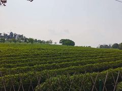 -凤凰沟景区