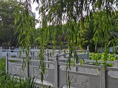 -莲湖公园