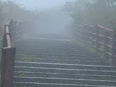 -大围山国家森林公园