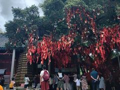 -国恩寺