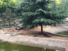 -石家庄市动物园