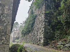 -桑洲油菜花景区