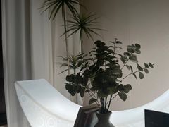 -鲸落SPA(番禺长隆店)