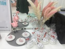 -安那般那皮肤年轻化ANAPANA