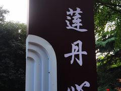 -莲湖公园