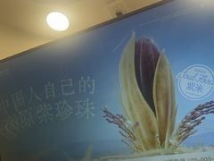 -一只酸奶牛(洪崖洞11楼店)