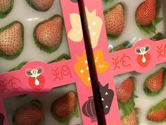 -广州四季酒店
