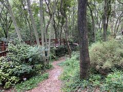 -上海佘山国家森林公园天马山园