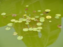 -山水间小院