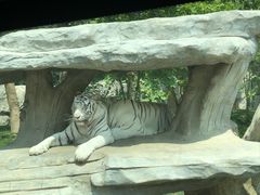 -北京野生动物园