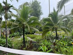 -新加坡飞禽公园