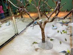 -上海大自然野生昆虫馆(东方明珠·爬宠昆虫探索中心)