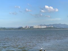 -深圳湾公园(南山区)
