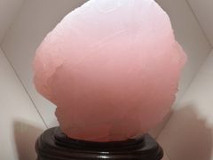 -安徽省地质博物馆