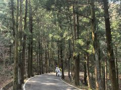 -南岳衡山风景名胜区