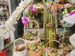 -FEI FEI FLOWER鲜花店·气球派对·宝宝宴布置(虹口德必运动Loft店)
