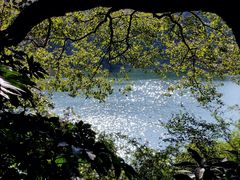 -桃花岭景区