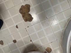 -喀纳斯鸿福生态度假酒店