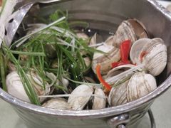 白蚬子-渔娘渔家丹东海鲜(东直门店)