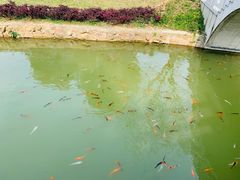 -龙寺生态园