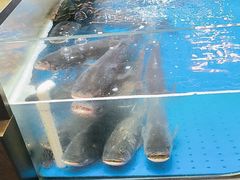 -炊江南·上海菜(国展华漕店)