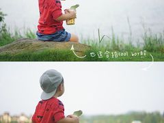 -美的鹭湖森林度假区