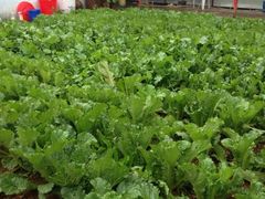 iphone_upload_pic-姥家大锅台水库渔家